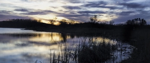 Mallard Lake and Songbird Slough