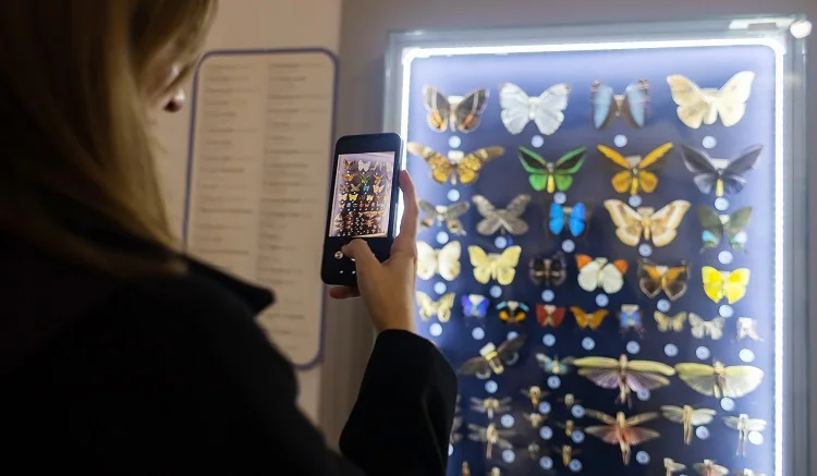 Bartlett Nature Center