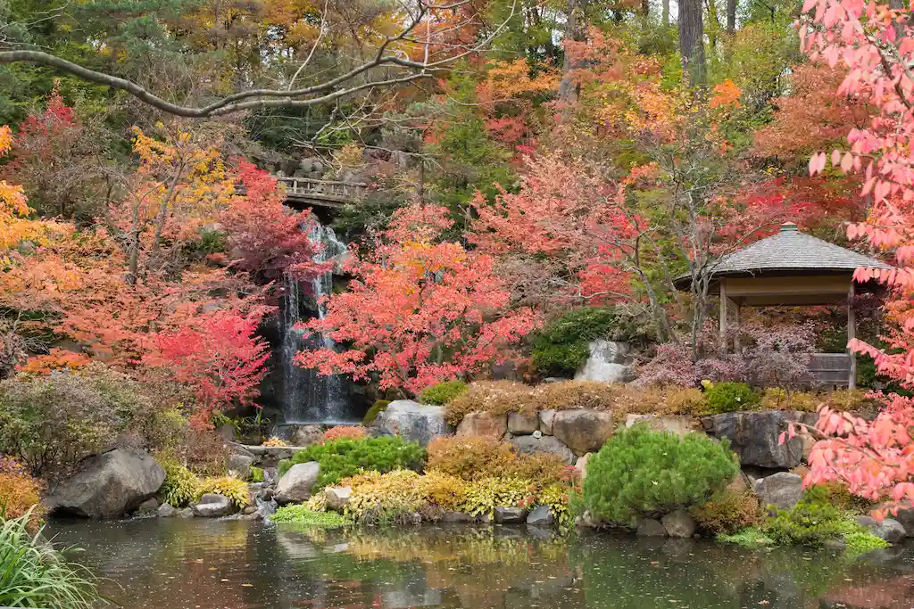 Anderson Japanese Gardens