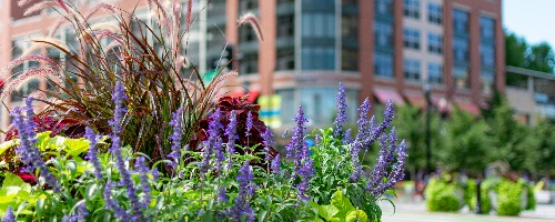 Downtown Evanston