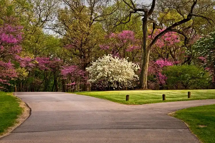 Morton Arboretum