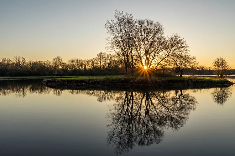 Visit Nearby Busse Woods