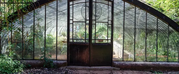 Oak Park Conservatory