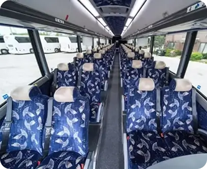 56 Passenger Motor Coach Buses