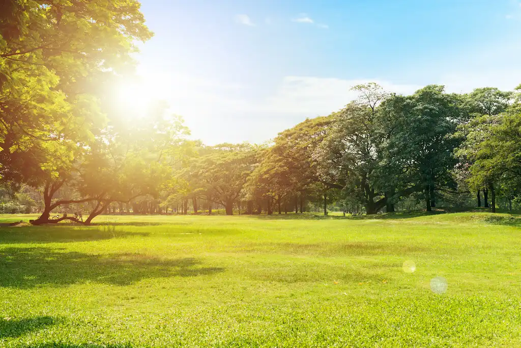 Vogelei Park: A Family Retreat in the Heart of Hoffman Estates