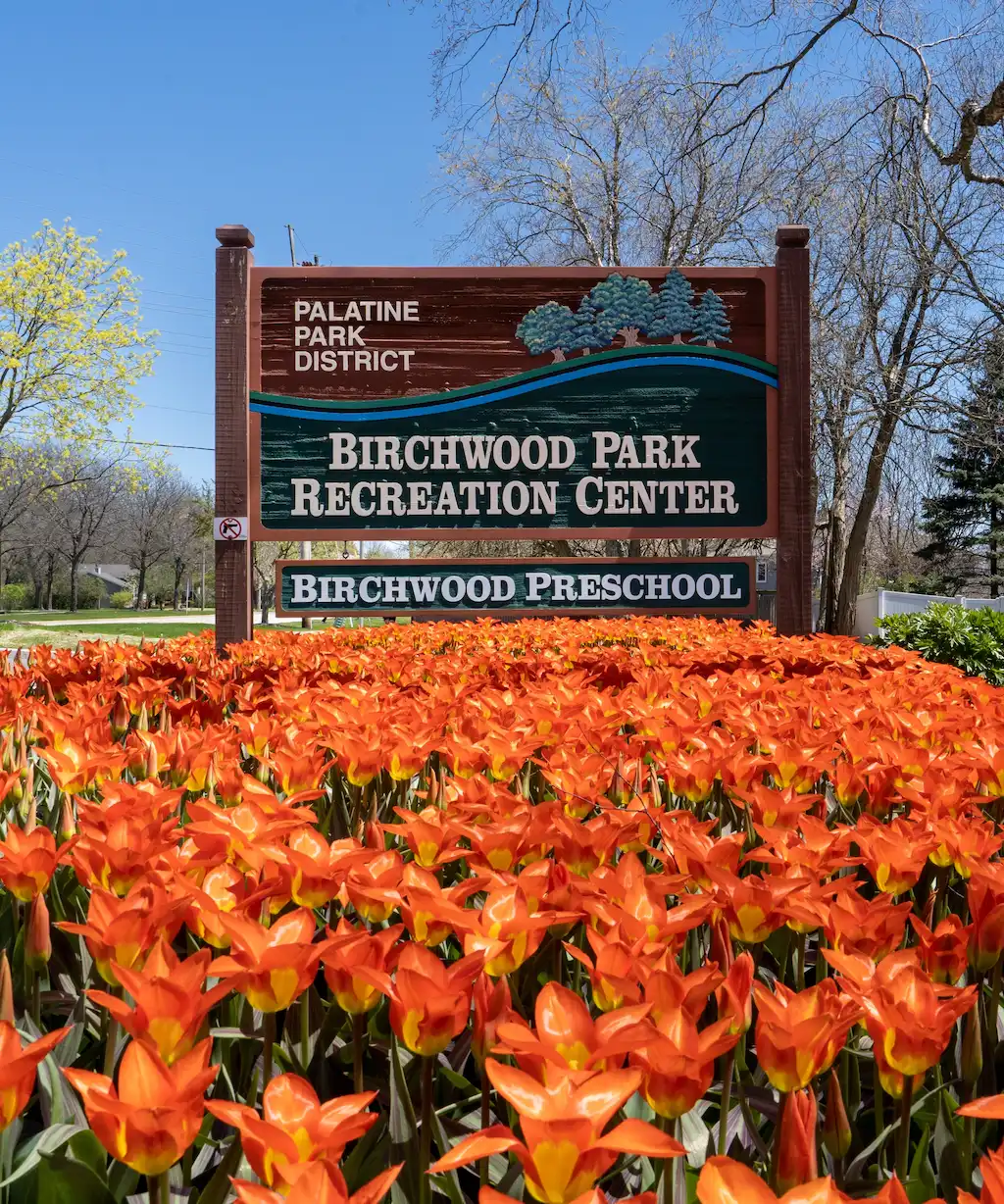 Revel in Leisure at the Palatine Park District