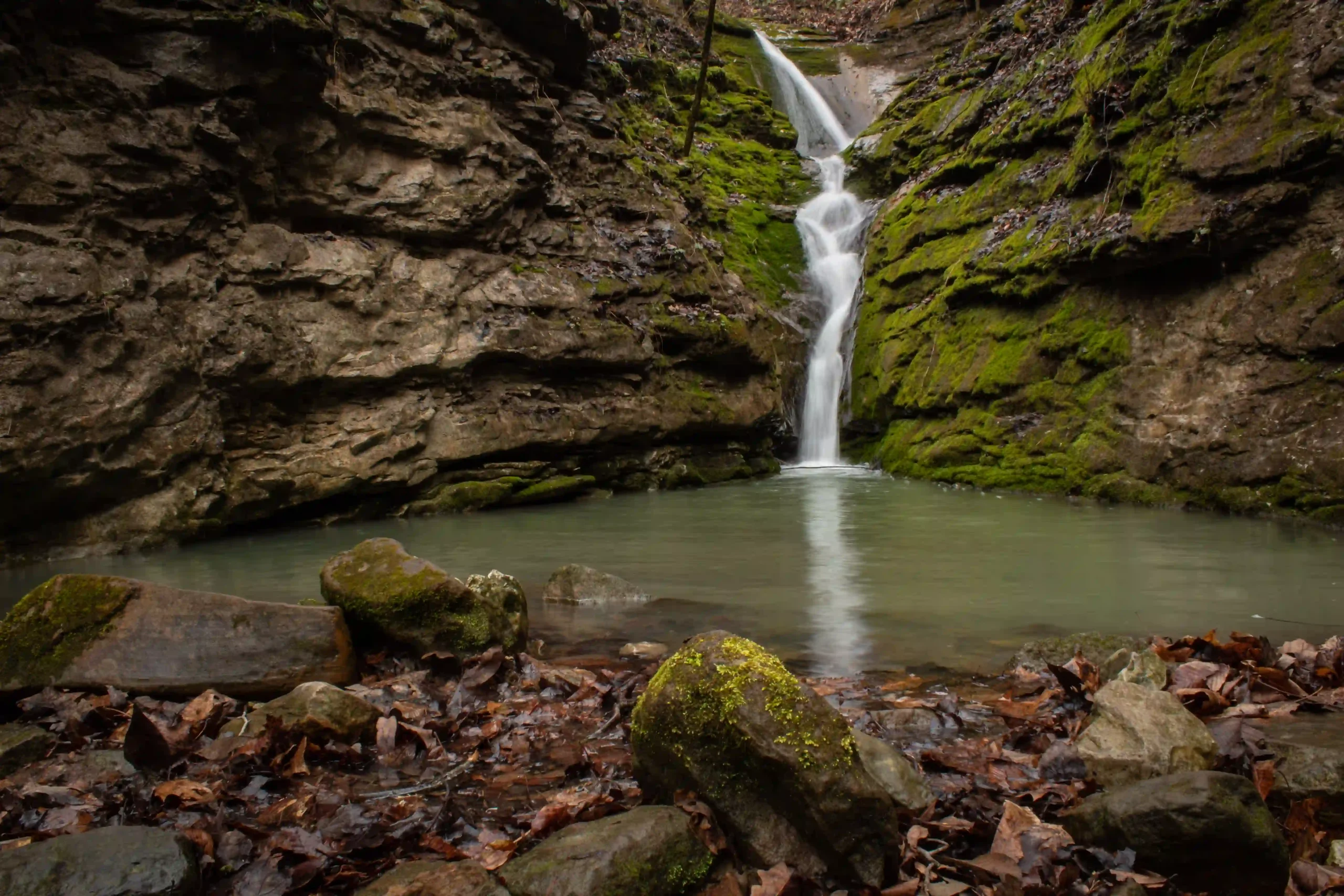 Tranquil Escape: Buffalo Creek Forest Preserve