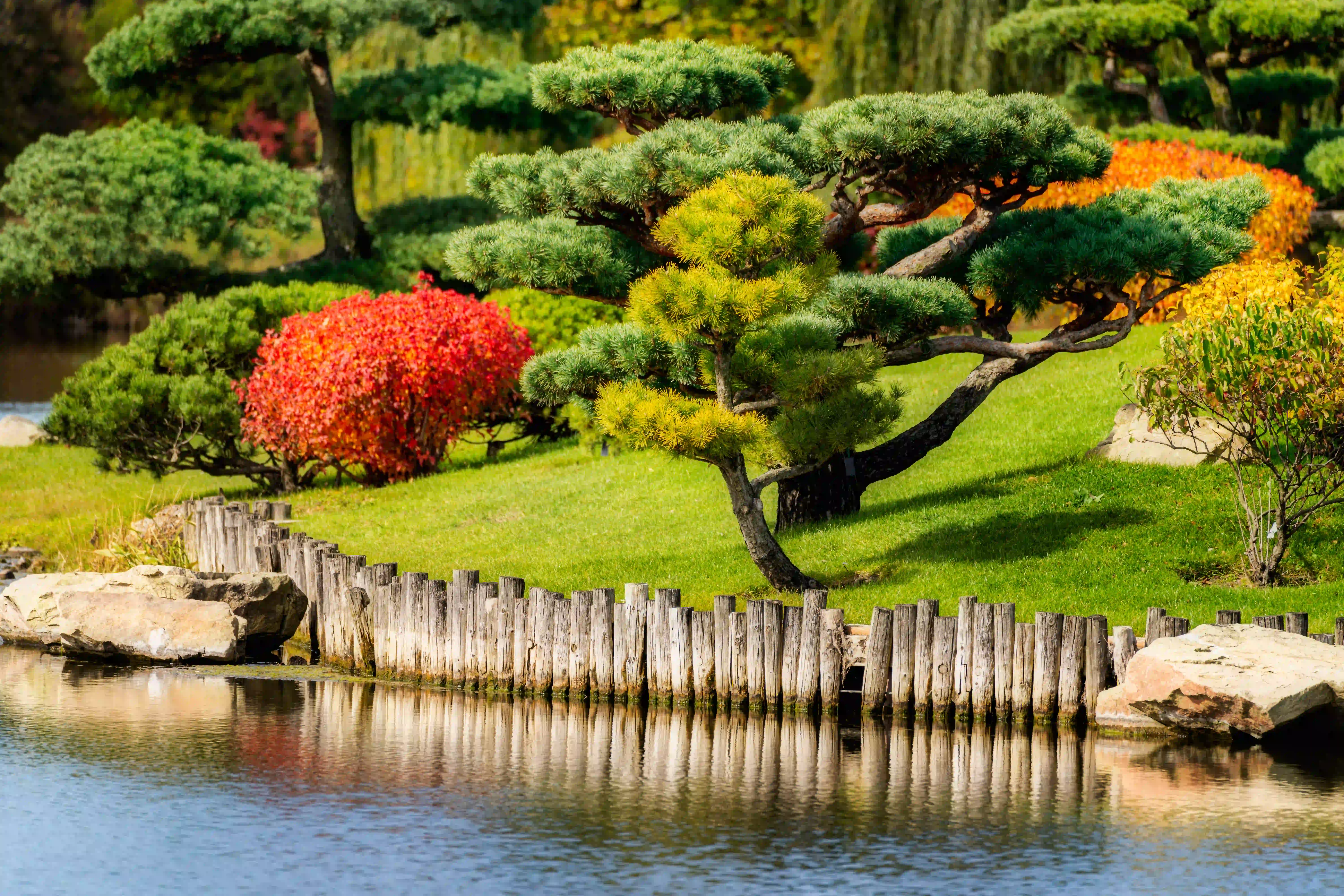 Nature's Paradise: Chicago Botanic Garden