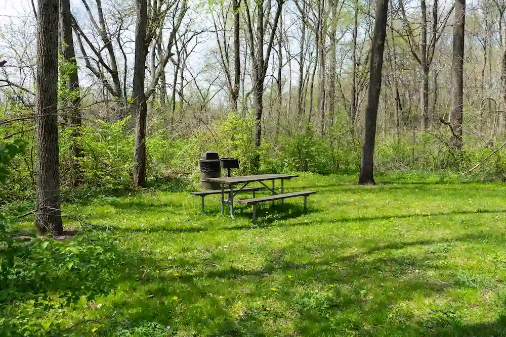 Annual Extravaganza: Franklin Park Picnic