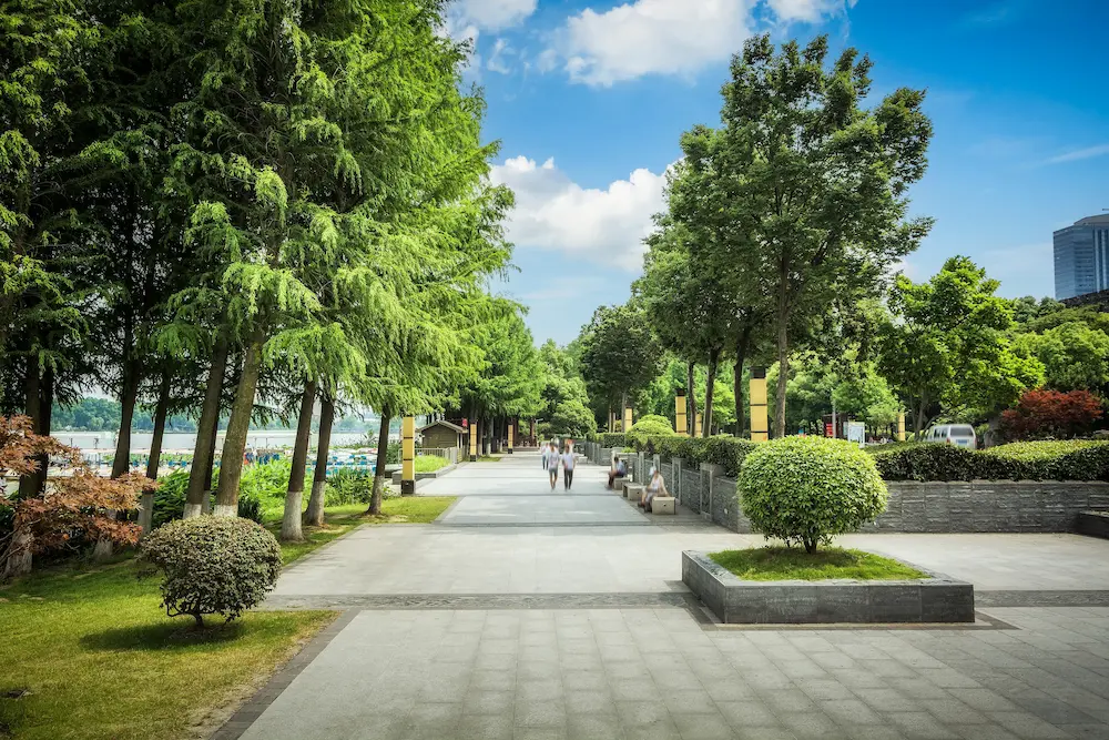 Stroll Through Elmwood Park's Central Park