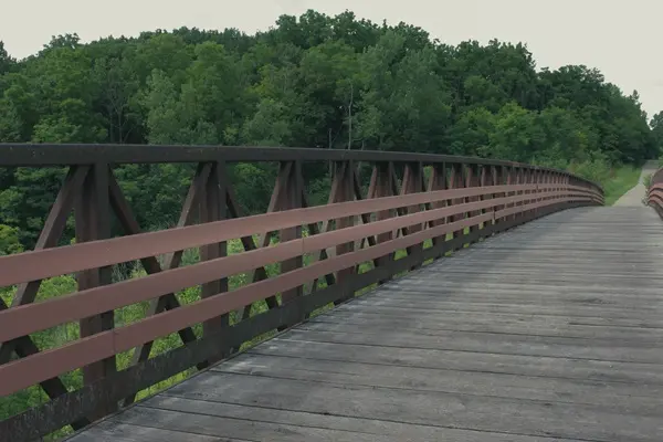 Raceway Woods Forest Preserve