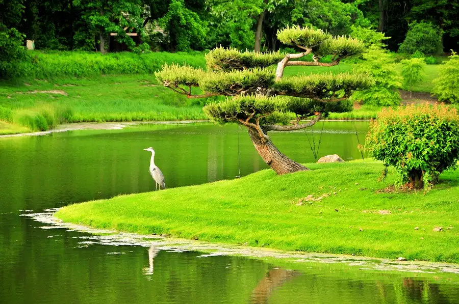 Chicago Botanic Garden