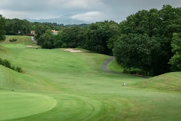  Streamwood Oaks Golf Club: Test Your Skills & Enjoy the Views