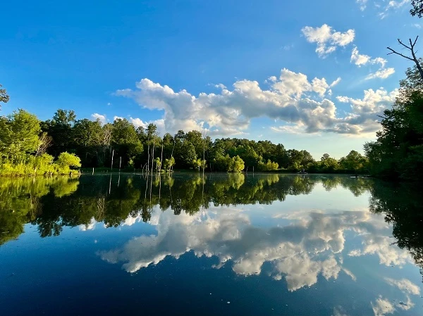 Lake Carina Forest Preserve: Escape to Nature