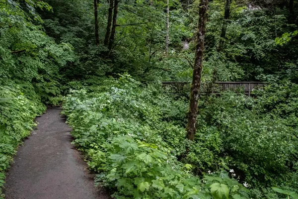 Stevenson Park: A Tranquil Oasis