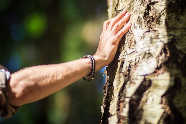  Sand Ridge Nature Center