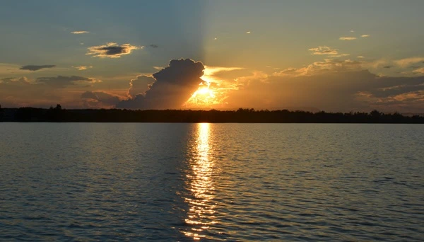  Bill's Boats Bait and Marina