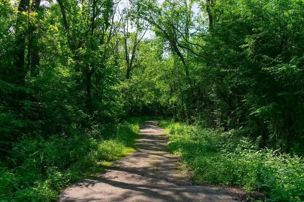 Palos Hills Forest Preserve