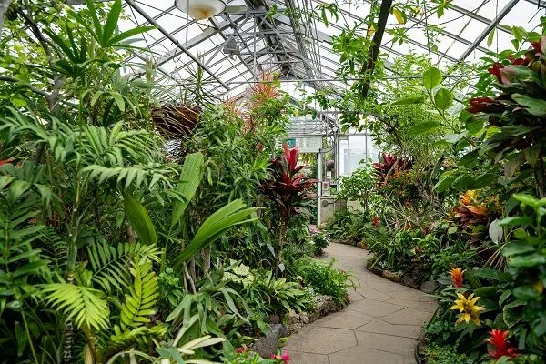 Wilder Park Conservatory
