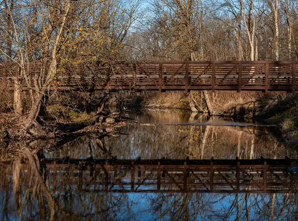 Cricket Creek County Forest Preserve