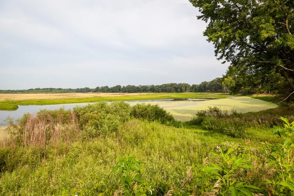 Nygren Wetland Preserve