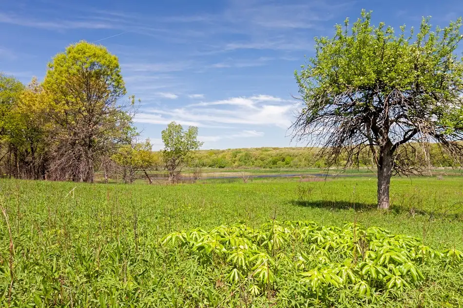 Cranberry Slough Nature Preserve