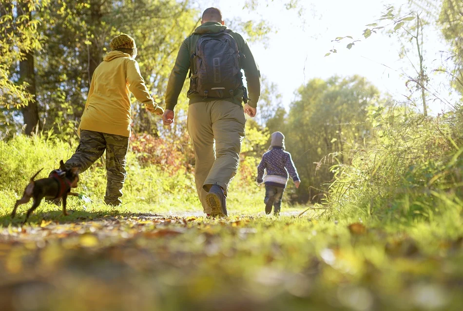 Palos Forest Preserves Trail System