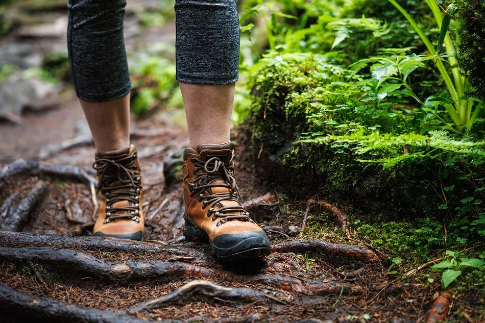 Trails & Active Stops